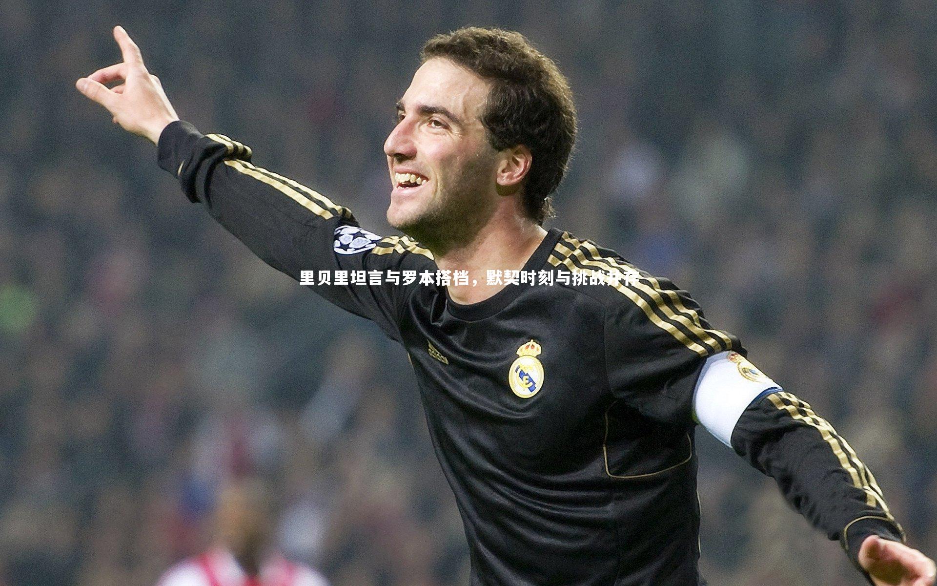 里贝里坦言与罗本搭档，默契时刻与挑战并存